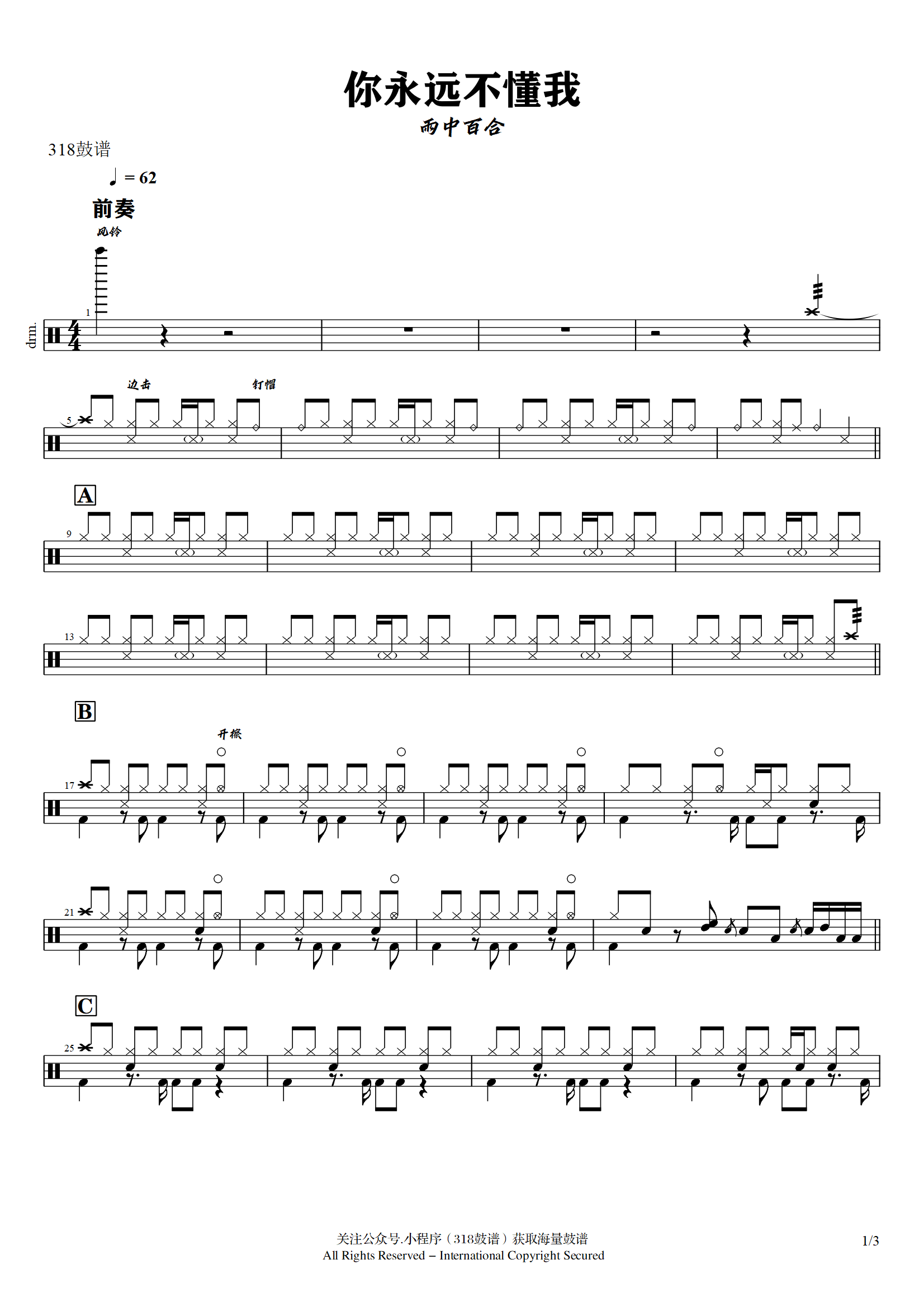 雨中百合 - 你永远不懂我你永远不懂我