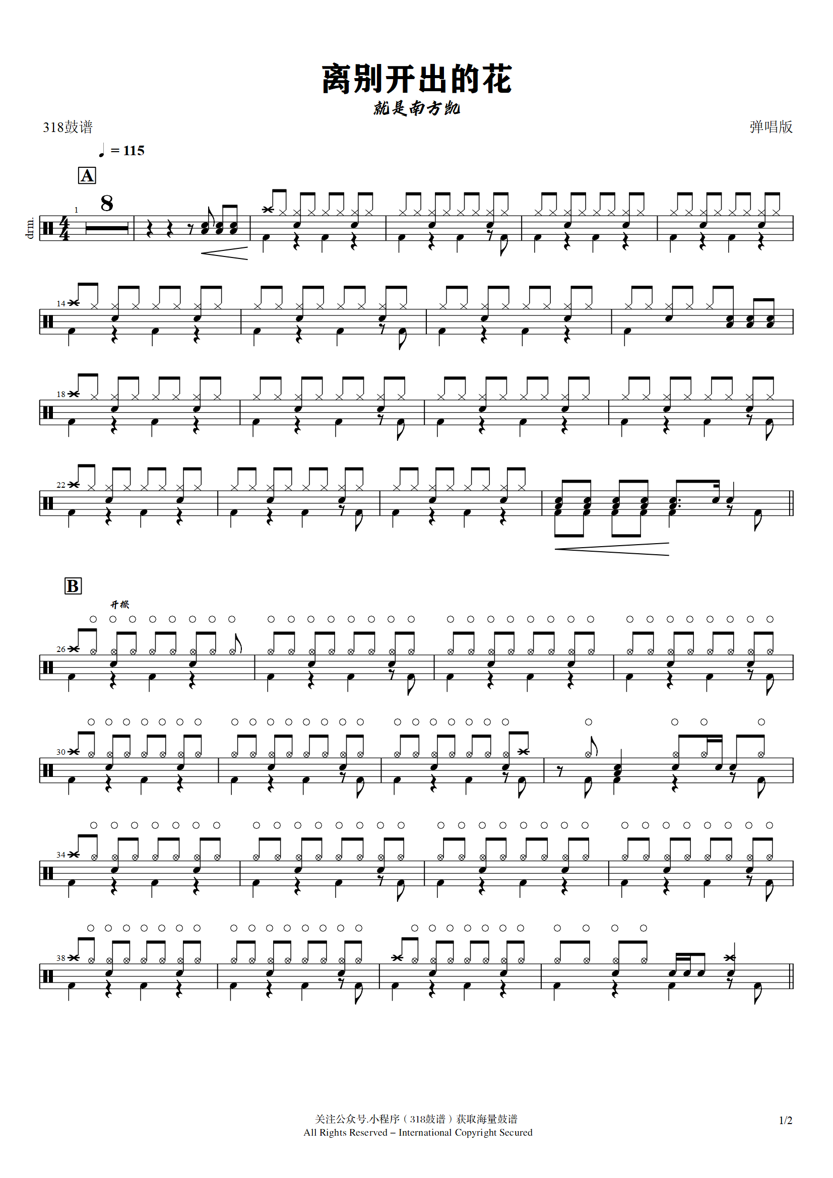 就是南方凯-离别开出的花（弹唱版）