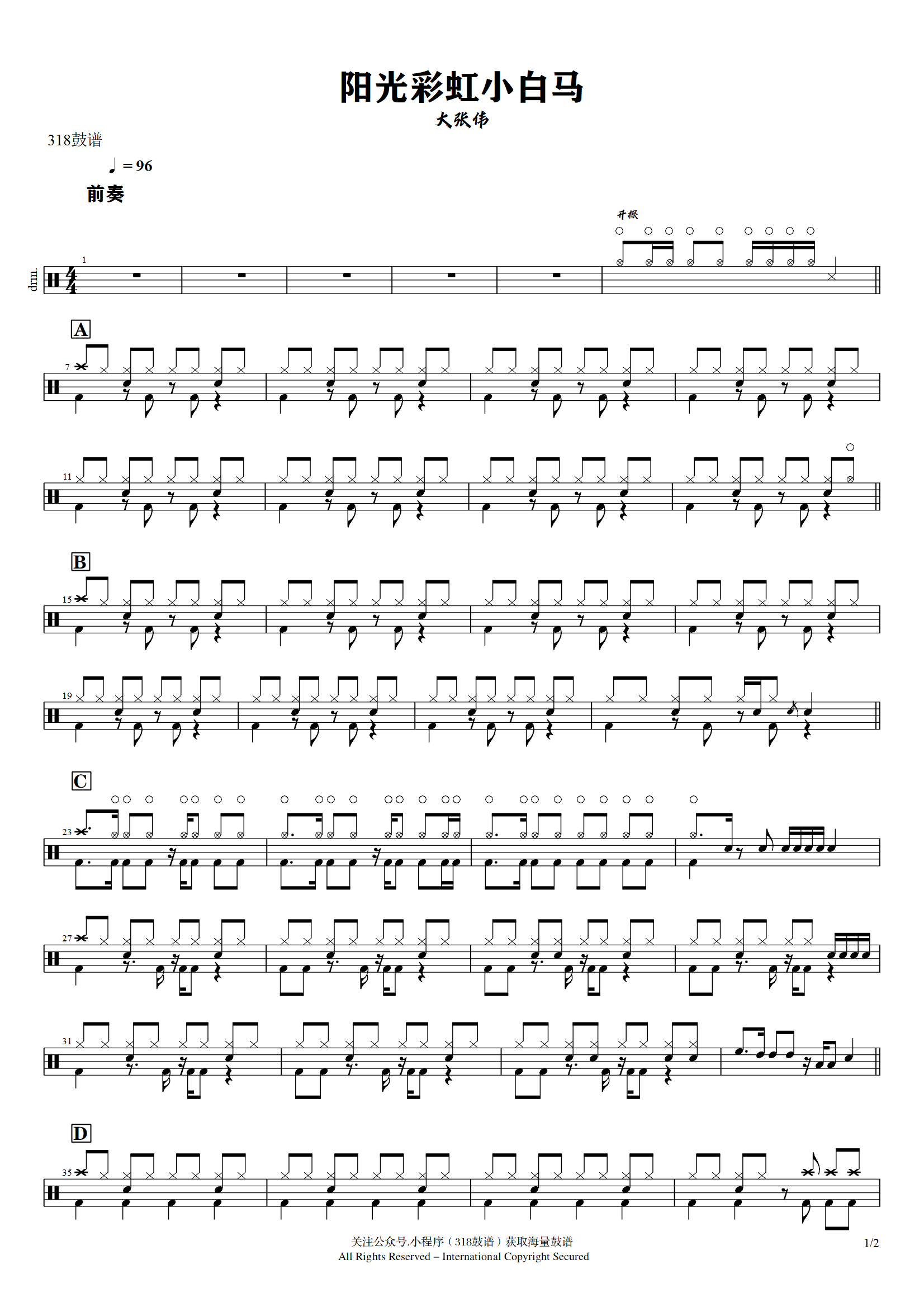 大张伟-阳光彩虹小白马