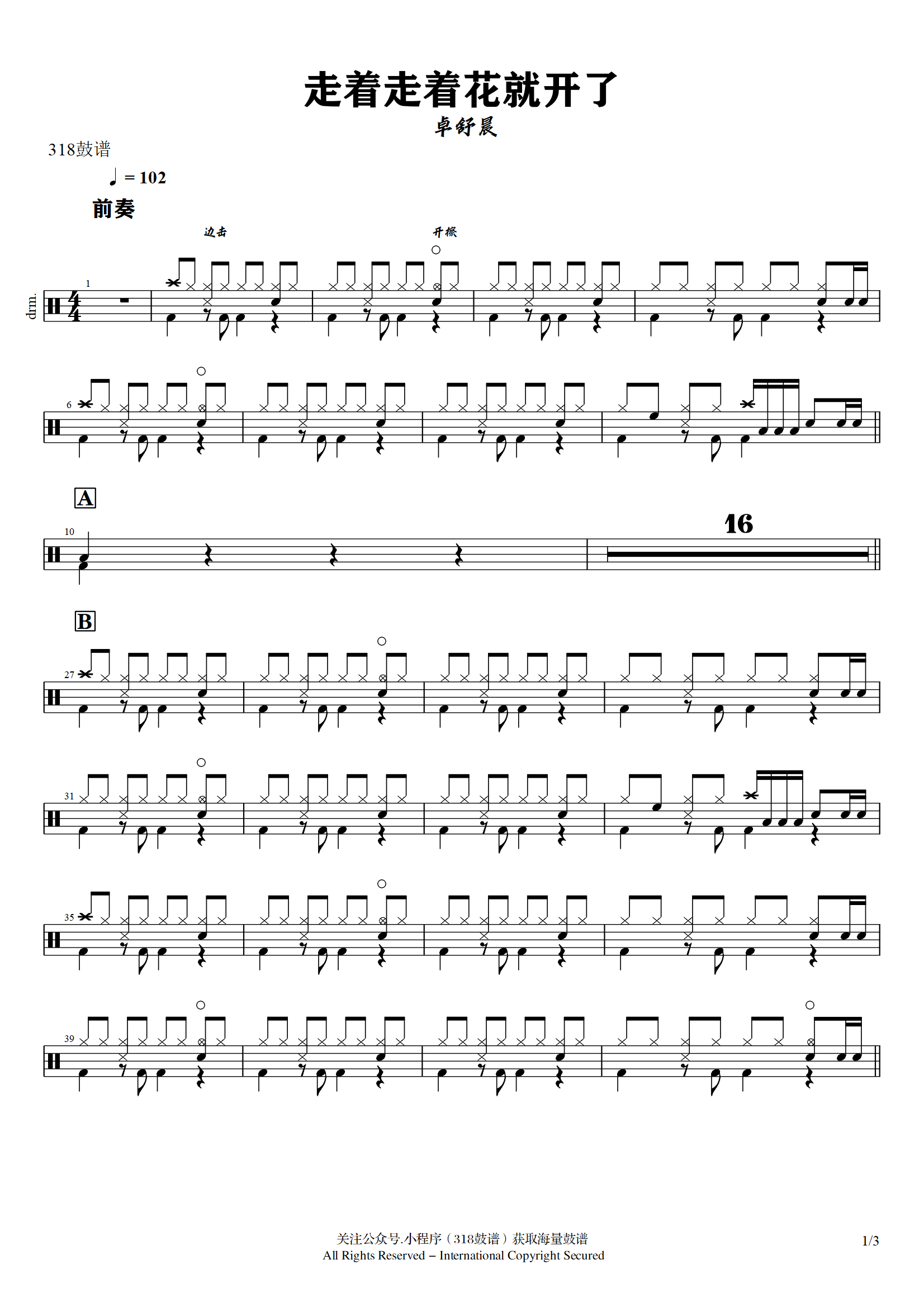 卓舒晨 -走着走着花就开了