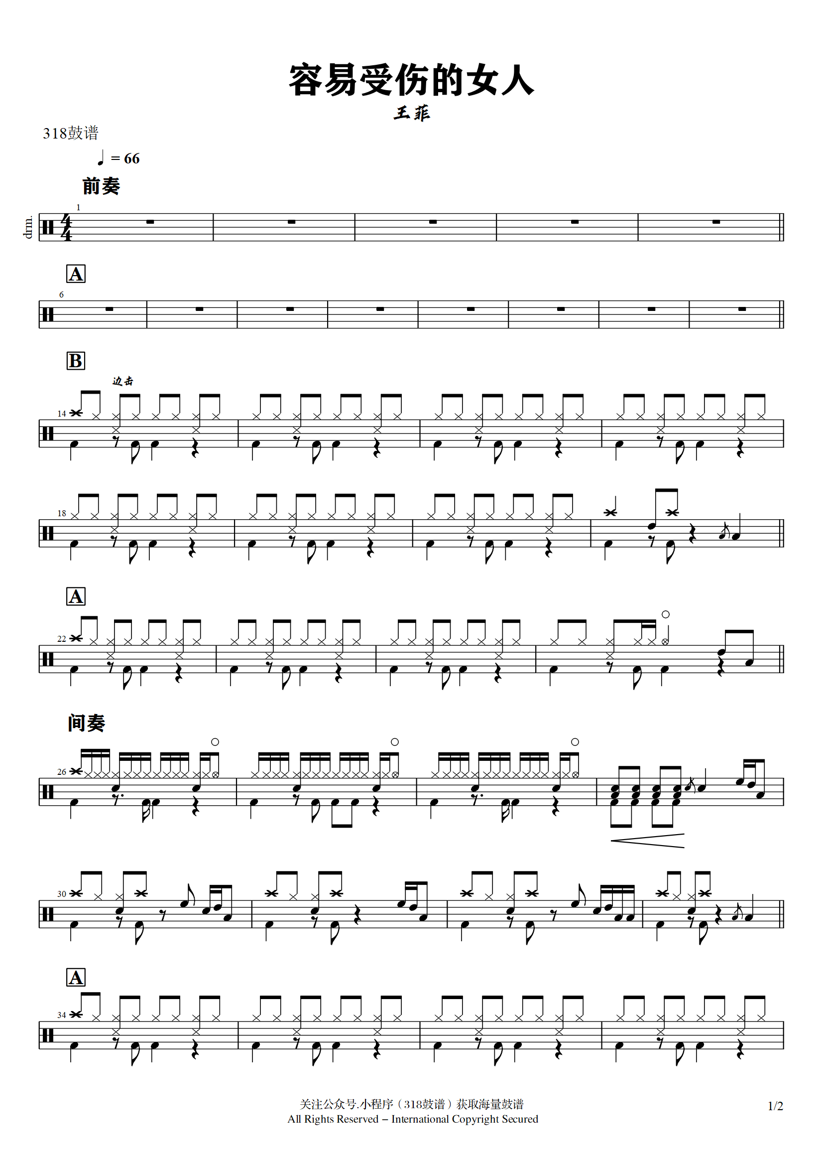 王菲-容易受伤的女人