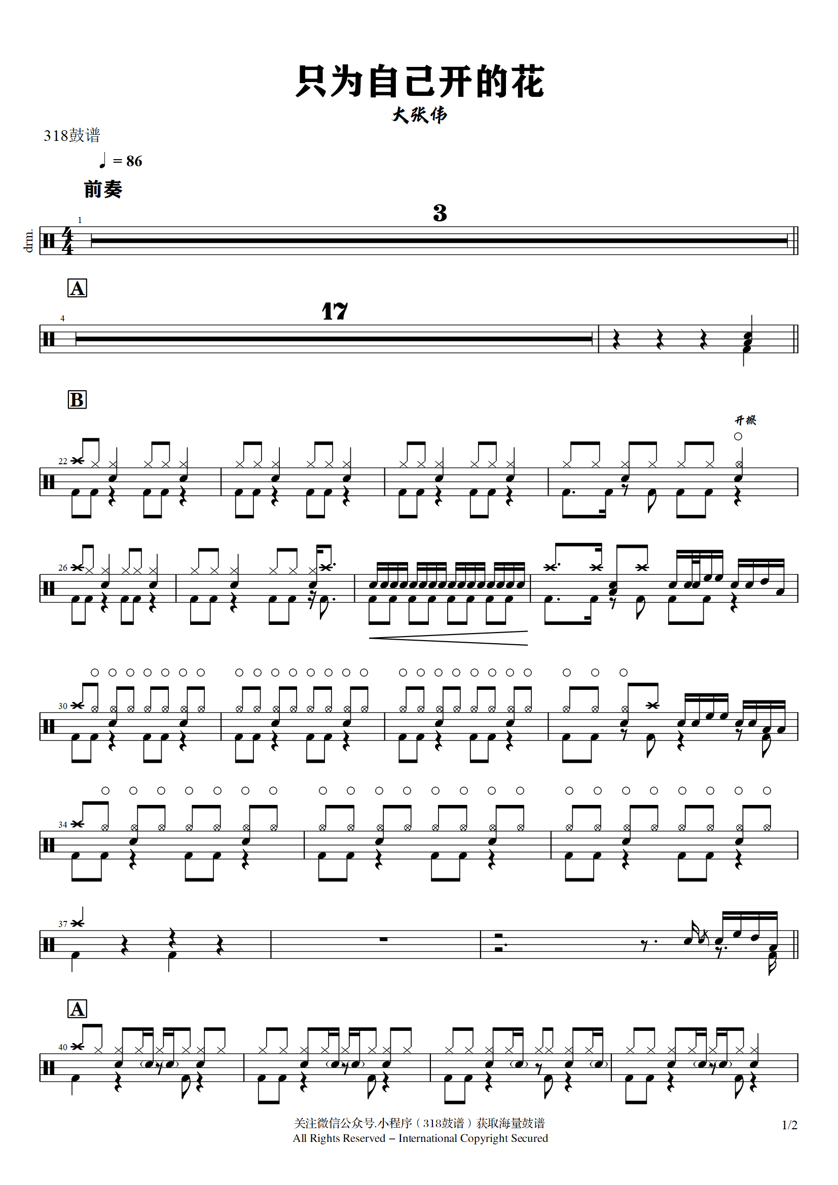 大张伟-只为自己开的花