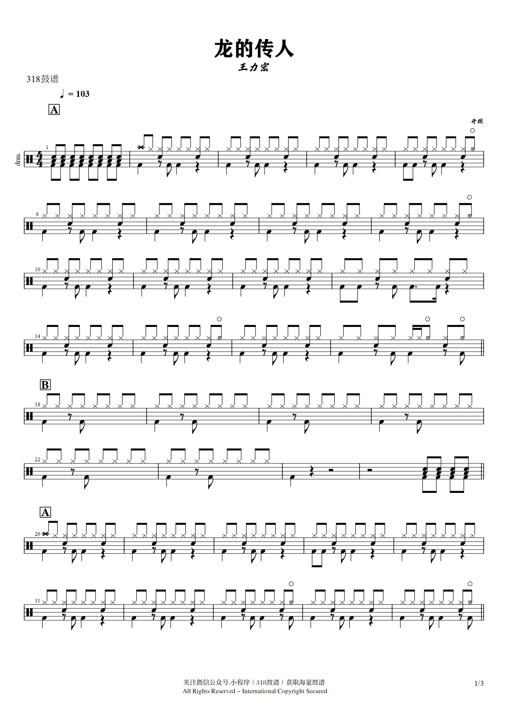 王力宏-龙的传人