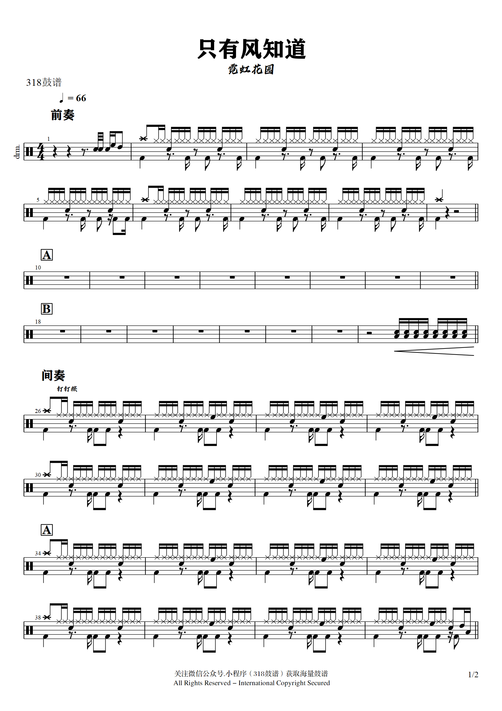 霓虹花园-只有风知道