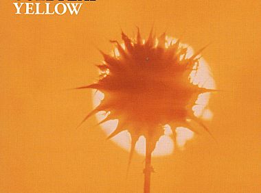 Coldplay酷玩乐队-Yellow(简单版)