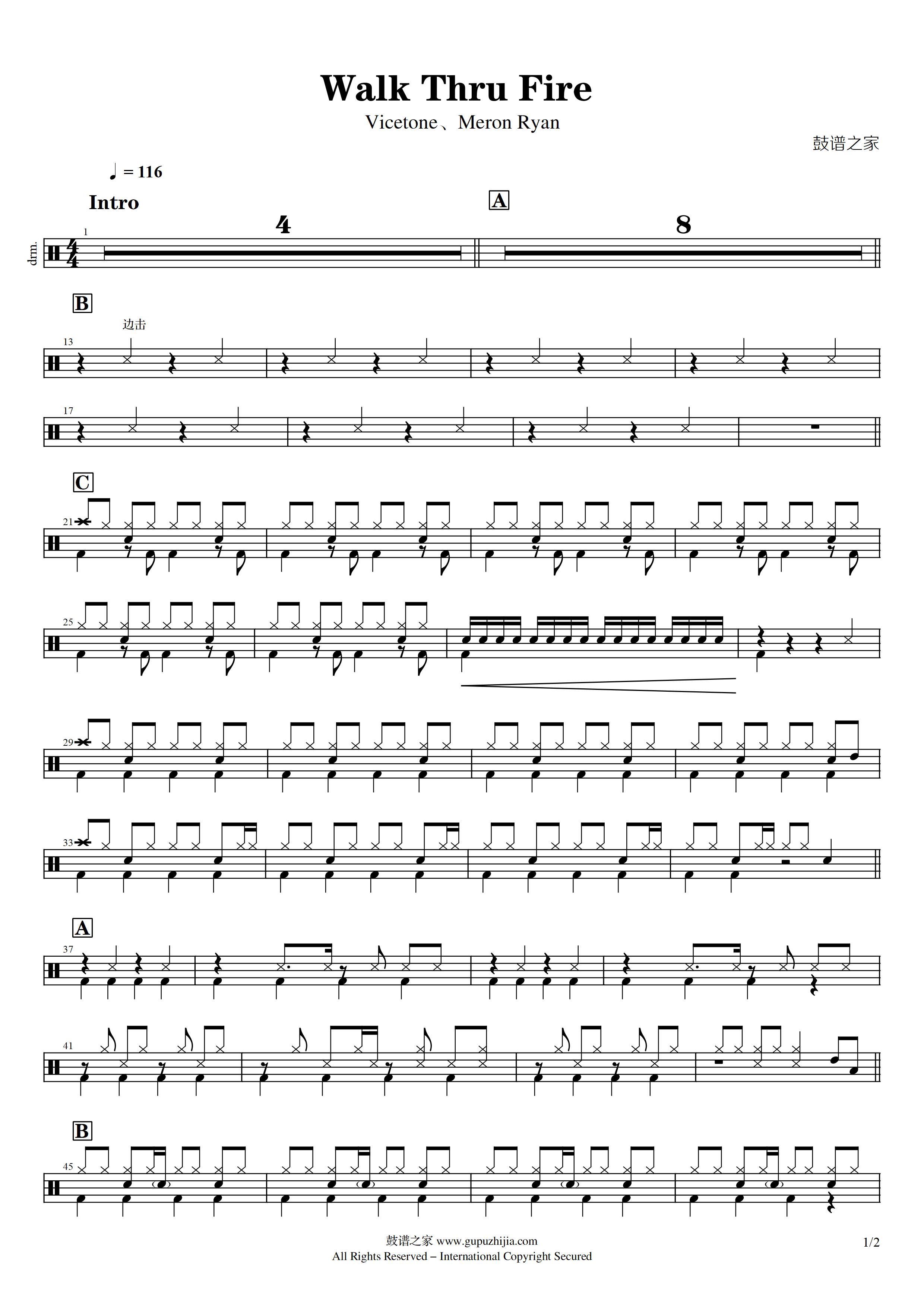 Vicetone、Meron Ryan-Walk Thru Fire