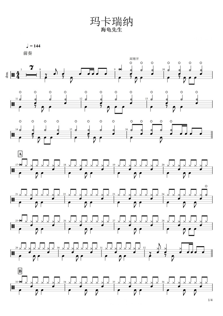 《玛卡瑞纳》 海龟先生